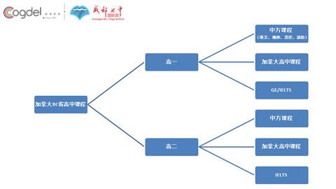 成都七中国际部