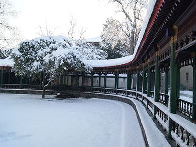 领科教育北京校区