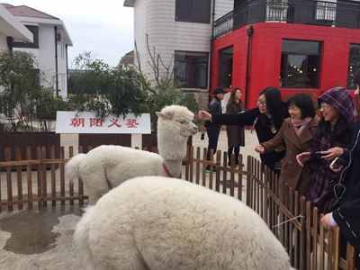 朝阳义塾日本国际高中