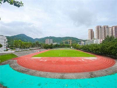 石岩公学橘郡国际课程中心（SYPS OCAHS）