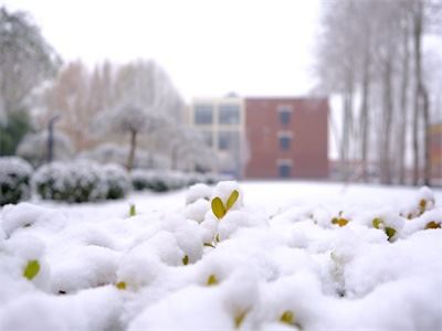 北京市私立树人·瑞贝学校