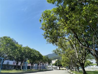 雷纳森英豪国际学院