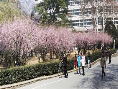 华中师范大学国际课程中心