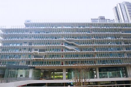 深圳国际交流学院