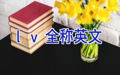 lv全称英文