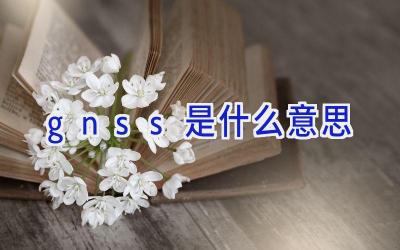 gnss是什么意思