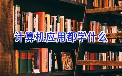 计算机应用都学什么