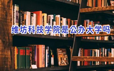 维坊科技学院是公办大学吗