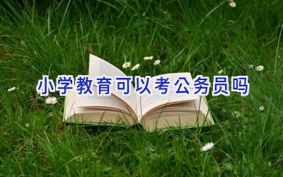 小学教育可以考公务员吗