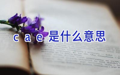 cae是什么意思