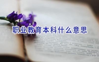 职业教育本科什么意思