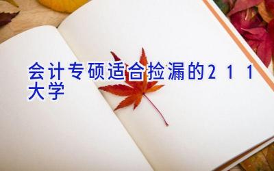 会计专硕适合捡漏的211大学