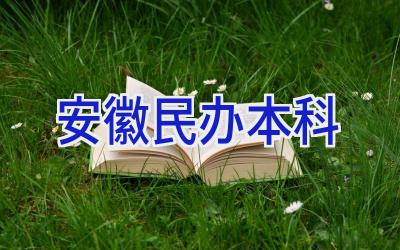 安徽民办本科