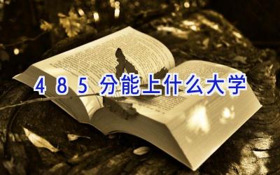 485分能上什么大学