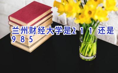 兰州财经大学是211还是985