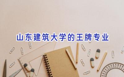 山东建筑大学的王牌专业