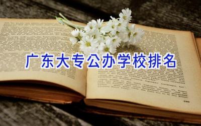 广东大专公办学校排名