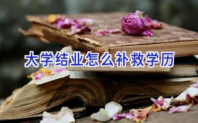 大学结业怎么补救学历