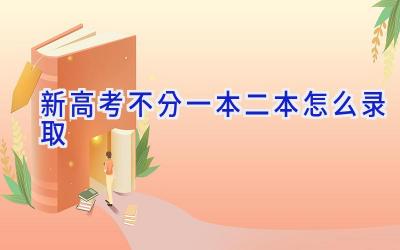 新高考不分一本二本怎么录取