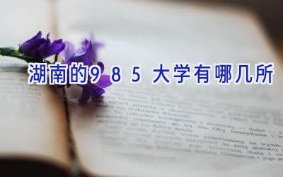 湖南的985大学有哪几所