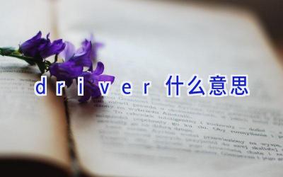 driver什么意思