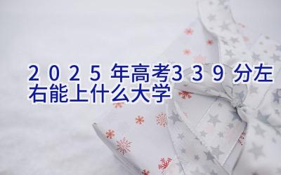 2025年高考339分左右能上什么大学