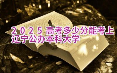 2025高考多少分能考上辽宁公办本科大学