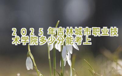 2025年吉林城市职业技术学院多少分能考上