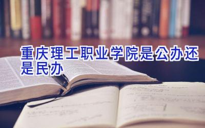 重庆理工职业学院是公办还是民办