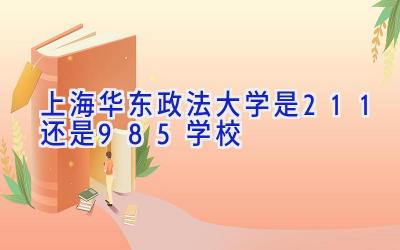 上海华东政法大学是211还是985学校