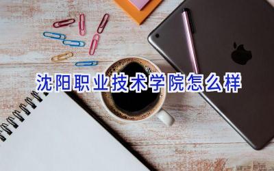 沈阳职业技术学院怎么样