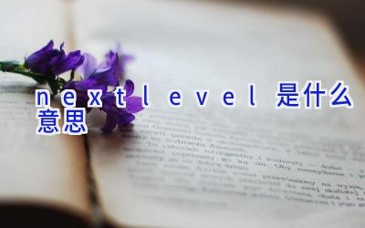 nextlevel是什么意思