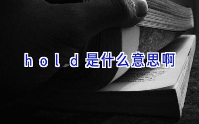 hold是什么意思啊