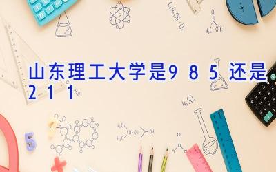 山东理工大学是985还是211