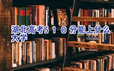 湖北高考510分能上什么大学