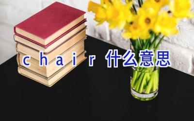 chair什么意思