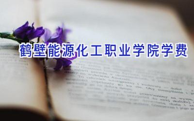 鹤壁能源化工职业学院学费