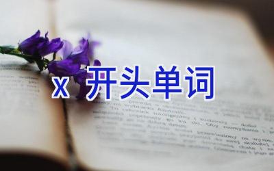 x开头单词