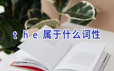 the属于什么词性