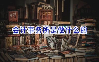 会计事务所是做什么的