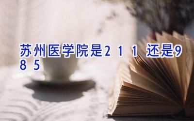 苏州医学院是211还是985