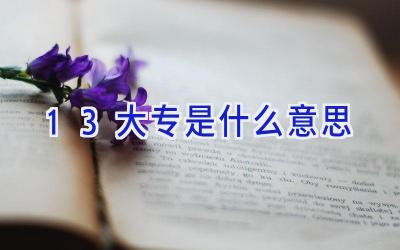 1+3大专是什么意思