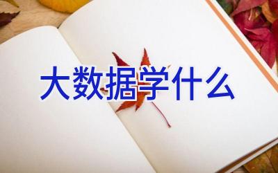 大数据学什么