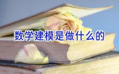 数学建模是做什么的