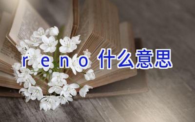 reno什么意思