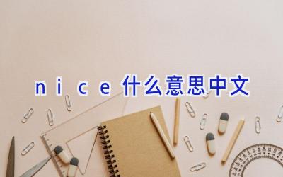 nice什么意思中文