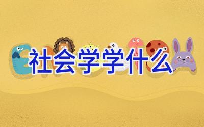 社会学学什么