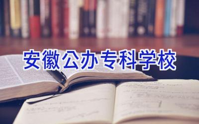 安徽公办专科学校