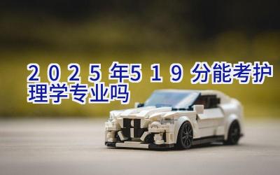 2025年519分能考护理学专业吗