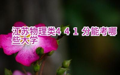 江苏物理类441分能考哪些大学